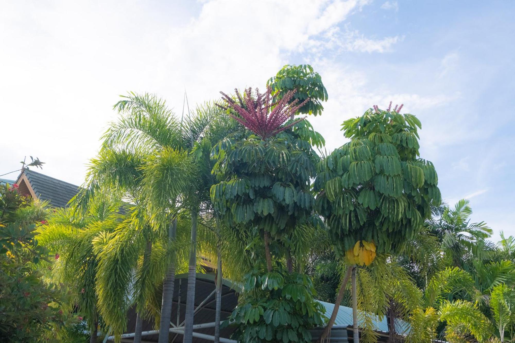 Blue Beach Grand Resort And Spa In Chalong Phuket By Dayuu Ban Saiyuan Exterior foto